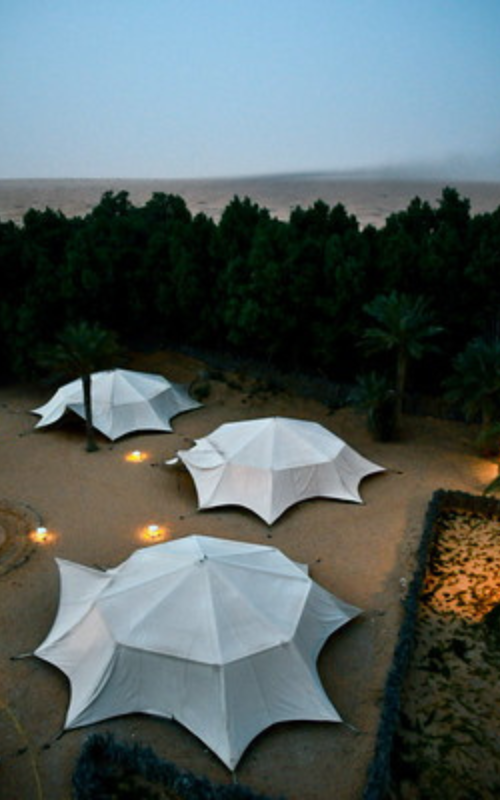 Voie lactée au-dessus d’une oasis saharienne